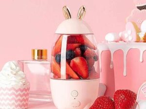 Little rabbit Juicer
